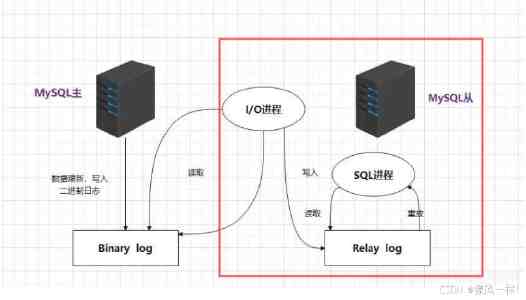 影响世界的两个“方块”：俄罗斯方块创始人帕基特诺夫与魔方之父鲁比克首次会面