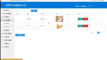 无人机“速成弹药”有哪些