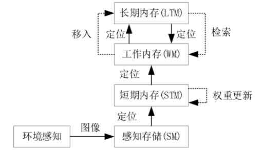 腹肌小奶狗导管是什么梗 - 抖音走红原因与模仿热潮