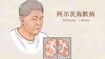 小黄书网站｜SEO流量密码与长尾词截流拆解
