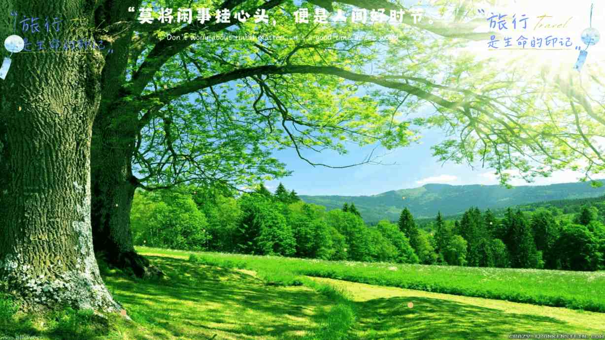 英雄连队新增四块荣誉牌匾